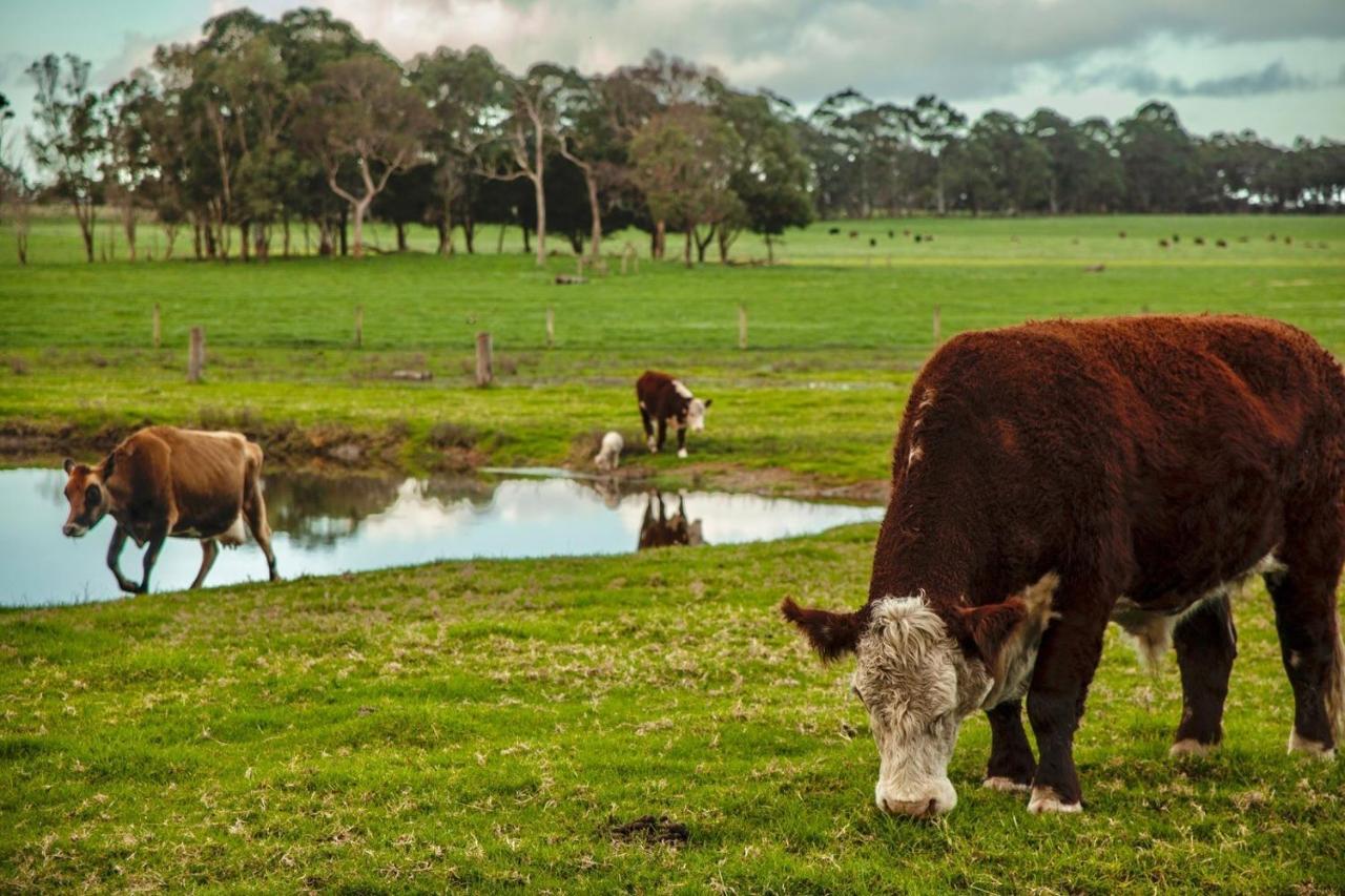 קוואראמופ Discovery Parks Margaret River מראה חיצוני תמונה